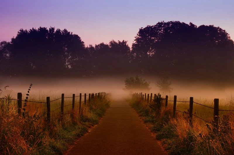 Photo of a path on a foggy morning