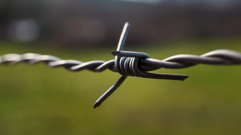 Close up photo of barbed wire fence